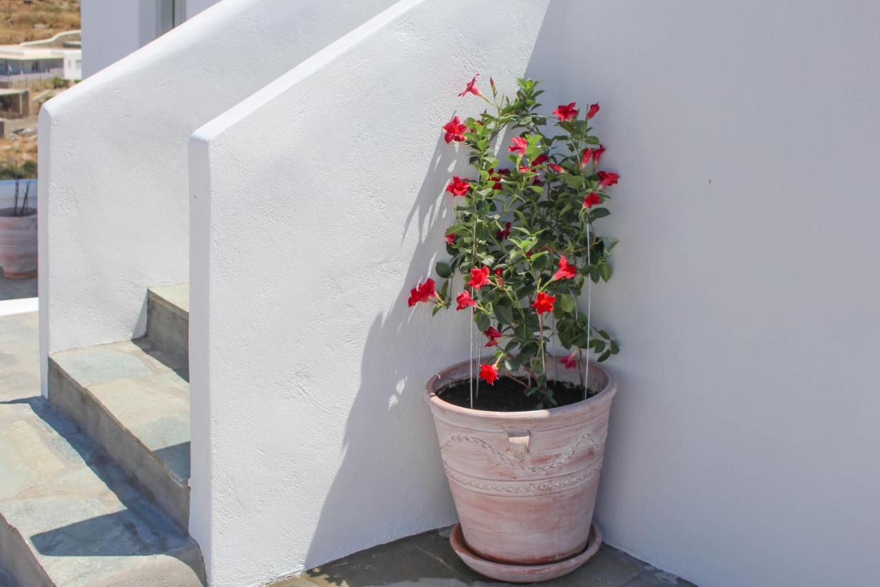 الشقق الفندقية Mykonos Townفي  Crystal View Mykonos المظهر الخارجي الصورة